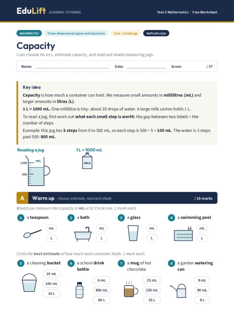 First page of the Year 5 capacity worksheet